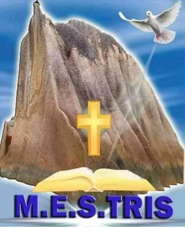 Logo — M.E.S.TRIS